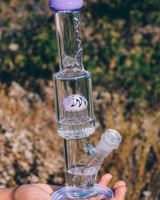 Shop AFM Glass Reversal Tree Perc Glass Mini Beaker Bong in australian