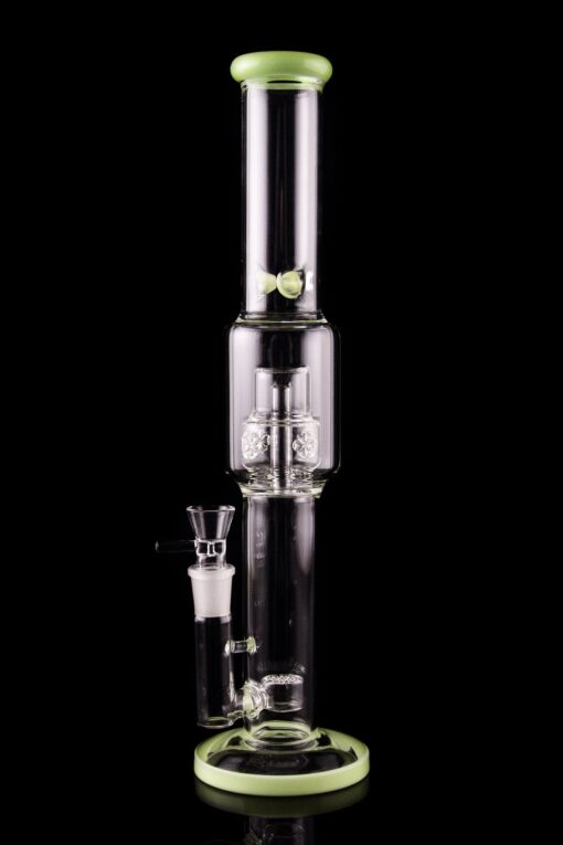 Shop Calibear "Tree of Life" Straight Tube Water Pipe in australian