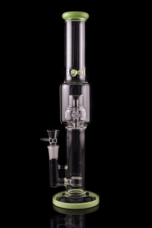 Shop Calibear "Tree of Life" Straight Tube Water Pipe in australian