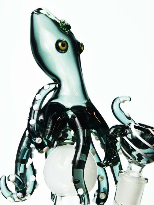 Shop Octopus Dab Rig in australian