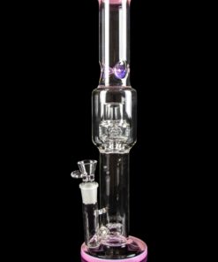 Shop Calibear "Tree of Life" Straight Tube Water Pipe in australian