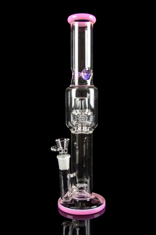 Shop Calibear "Tree of Life" Straight Tube Water Pipe in australian