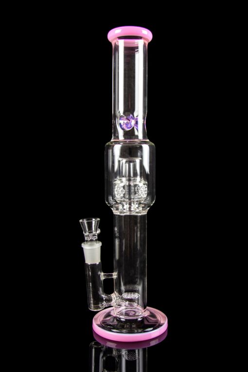 Shop Calibear "Tree of Life" Straight Tube Water Pipe in australian