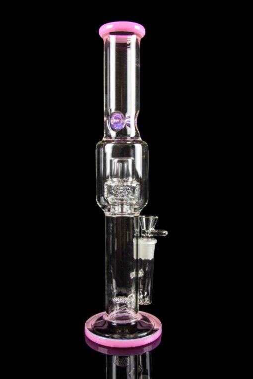 Shop Calibear "Tree of Life" Straight Tube Water Pipe in australian