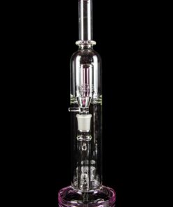 Shop Cherry Bomb Domed Straight Tube with Colored Accents in australian