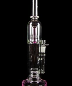 Shop Cherry Bomb Domed Straight Tube with Colored Accents in australian