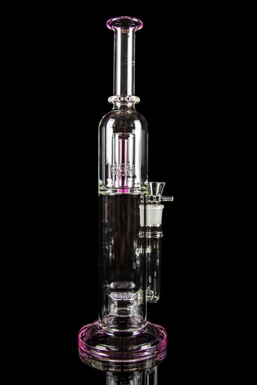 Shop Cherry Bomb Domed Straight Tube with Colored Accents in australian