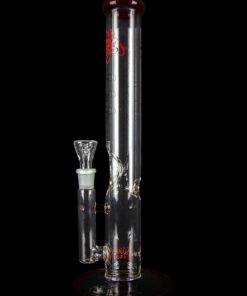 Shop Envy Glass 17" Straight Tube with Pop Rocks Perc in australian