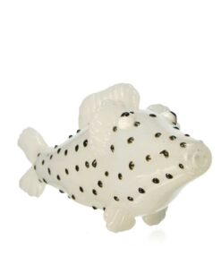 Shop Glass Sea Bass Pipe in australian