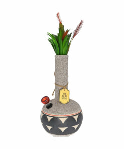 Shop My Bud Vase "Coyōté" Bong in australian