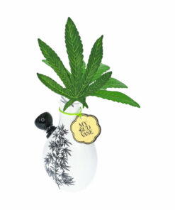 Shop My Bud Vase "Love Bud" Bong in australian