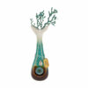 Shop My Bud Vase "Mermaid" Bong in australian