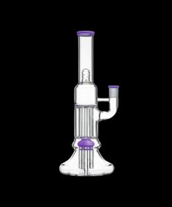 Shop Calibear Beaker Pillar Bong w/ Gilded Perc in australian