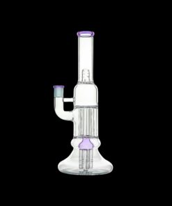 Shop Calibear Beaker Pillar Bong w/ Gilded Perc in australian