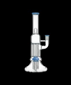 Shop Calibear Beaker Pillar Bong w/ Gilded Perc in australian