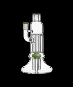 Shop Calibear Beaker Pillar Bong w/ Gilded Perc in australian