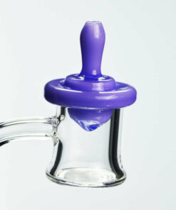 Shop Purple Carb Cap in australian